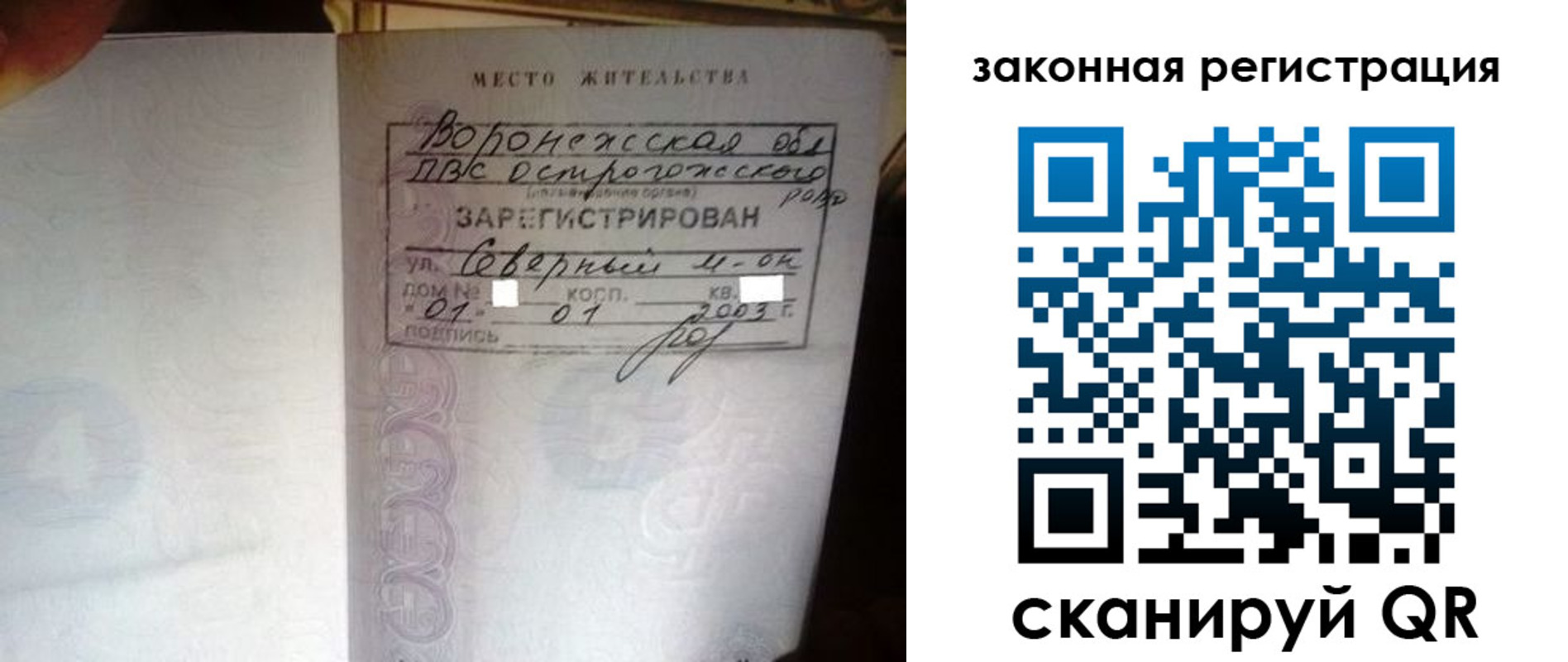 прописка поиск в Вельске